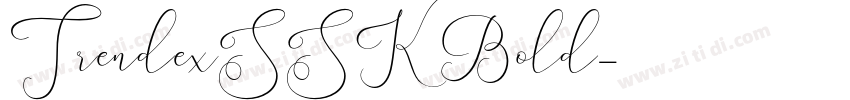 TrendexSSK Bold字体转换